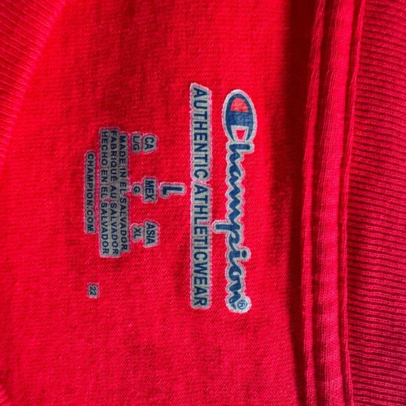 Champion University of Wisconsin Bucky T-shirt - Unisex size L - Picture 3 of 6